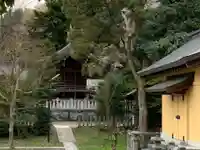 藤島神社(贈正一位新田義貞公之大宮)の本殿・本堂