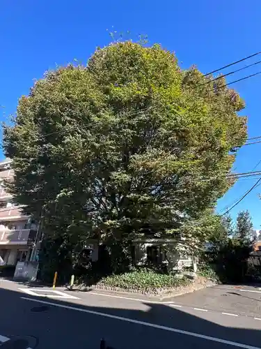 小野神社(東京都)