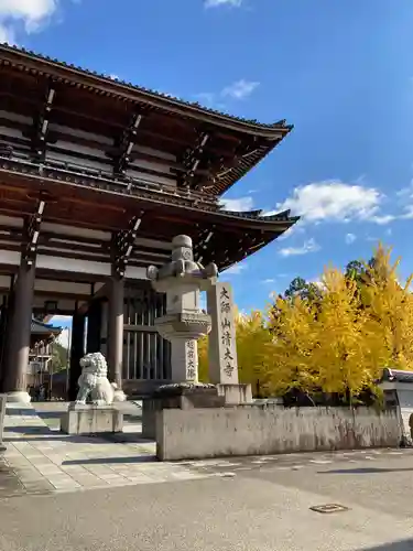 清大寺(越前大仏)(福井県)