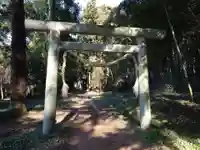 中村八幡宮(栃木県)
