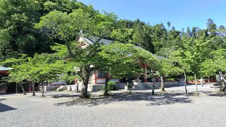 鞍馬寺(京都府)