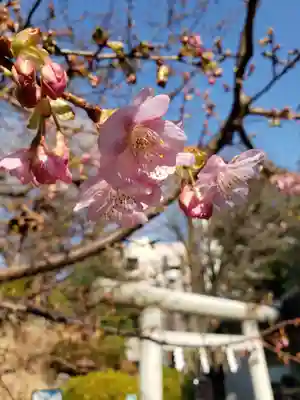 鳩森八幡神社(東京都)