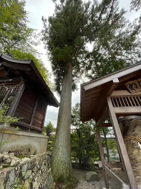 飛驒一宮水無神社(岐阜県)