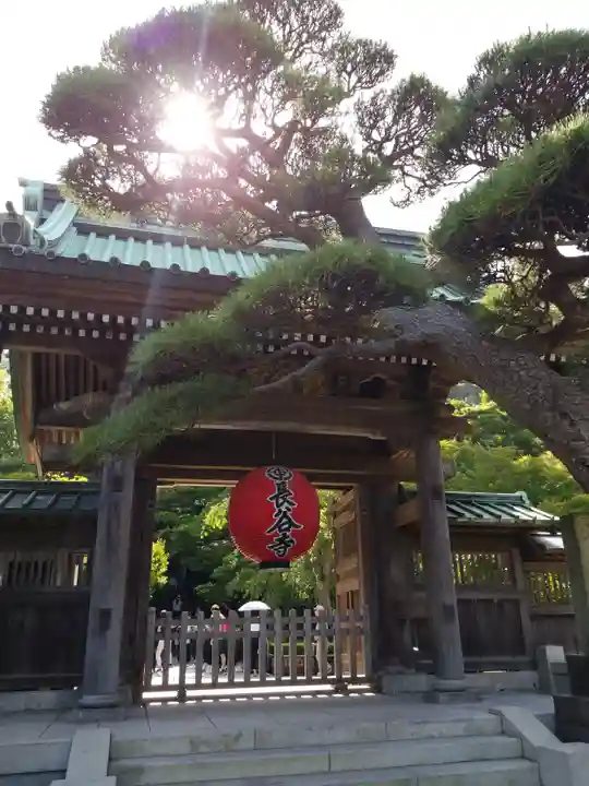 長谷寺の山門・神門