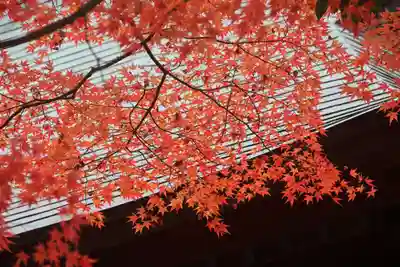 國祖神社の自然