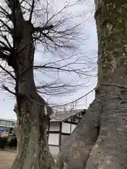 八枝神社(埼玉県)