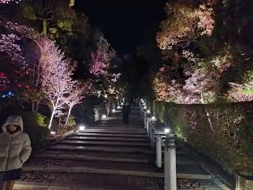 知恩院(京都府)