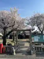 了性寺の{uncategorized: "未分類", other: "その他", undefined: "問題あり", building: "その他建物", grave: "お墓", sacred_gate: "鳥居", guardian: "狛犬", statue: "像", buddha: "仏像", history: "歴史", nature: "自然", garden: "庭園", animal: "動物", pagoda: "塔", temizu: "手水舎", mountain_gate: "山門・神門", sanctuary: "本殿・本堂", subordinate: "末社・摂社", art: "芸術", scenery: "景色", jizo: "地蔵", ema: "絵馬", goshuin: "御朱印", omikuji: "おみくじ", items: "授与品その他", amulet: "お守り", goshuincho: "御朱印帳", eats: "食事", festival: "お祭り", votive_dance: "神楽", shichigosan: "七五三参", wedding: "結婚式", experience: "体験その他", initially: "初詣", around: "周辺", anti_infection: "感染症対策"}