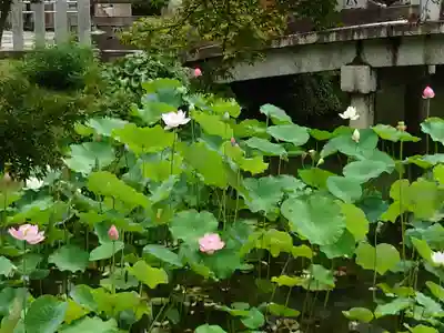 くろ谷 金戒光明寺(京都府)
