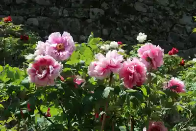 長谷寺(奈良県)