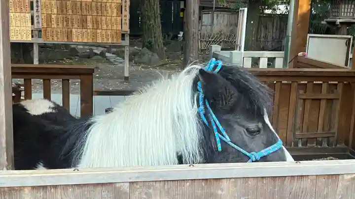 平塚八幡宮(神奈川県)