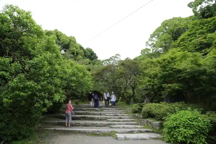 天開稲荷社の自然