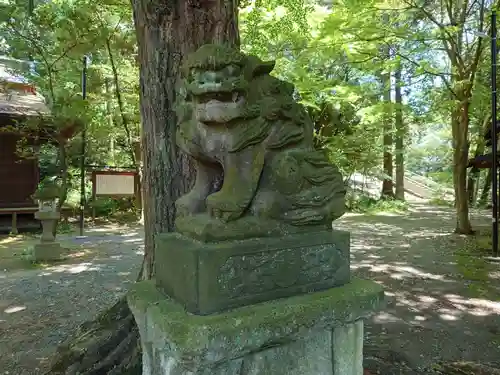 塙田八幡宮の狛犬