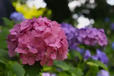  智積院(京都府)