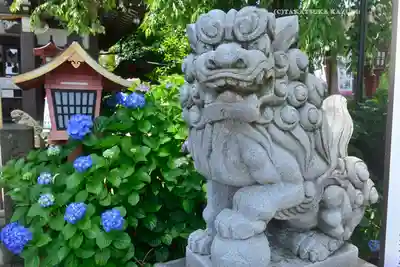 川越八幡宮(埼玉県)