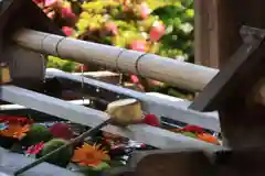 豊景神社の手水