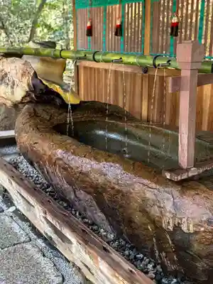 賀茂御祖神社（下鴨神社）(京都府)