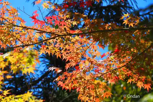 国宝　長寿寺(滋賀県)