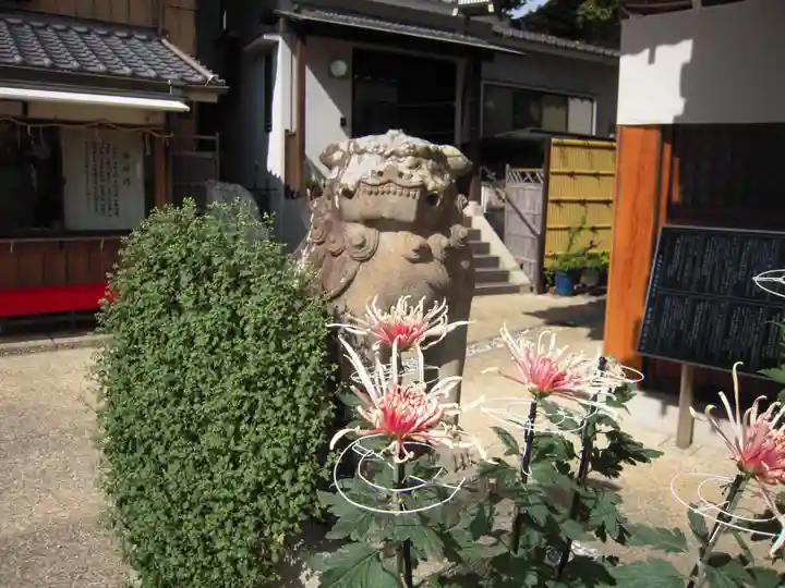 水堂須佐男神社の狛犬