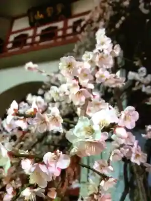 成願寺(東京都)