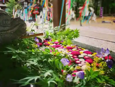 滑川神社 - 仕事と子どもの守り神の手水舎
