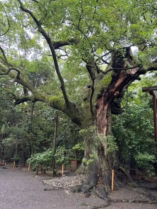月夜見宮(豊受大神宮別宮)(三重県)