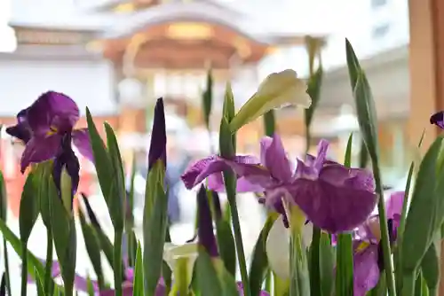 水天宮(東京都)