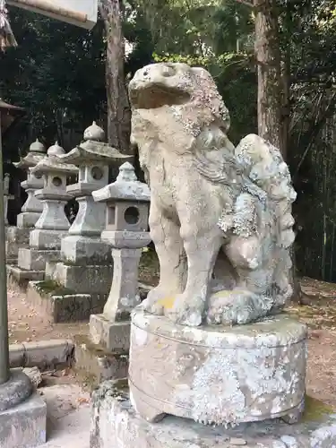 赤猪岩神社の狛犬