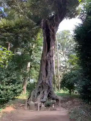 雷神社(千葉県)