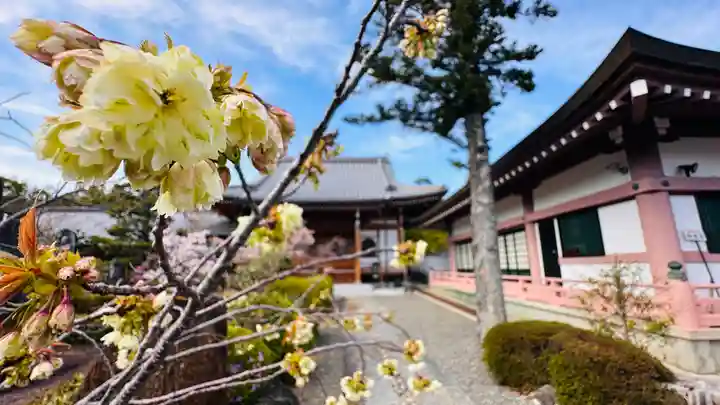 蓮華寺(京都府)