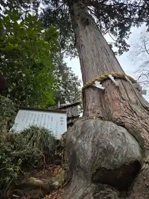 神場山神社(静岡県)