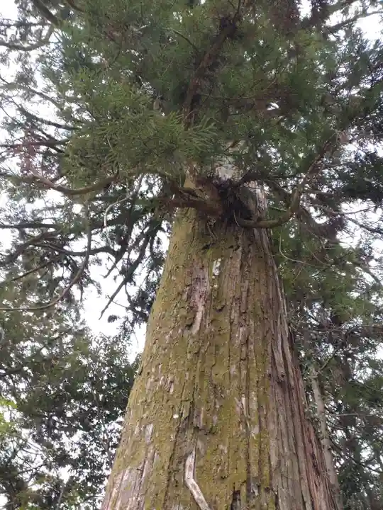 石山寺(滋賀県)