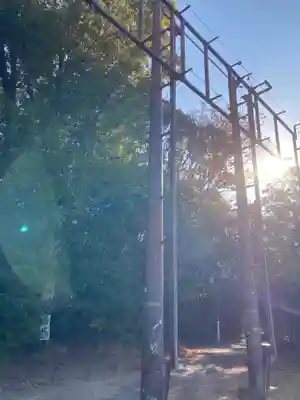 伏見稲荷大社(京都府)