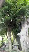 荒魂神社(香川県)