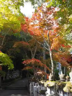 鹿嶋神社のその他建物