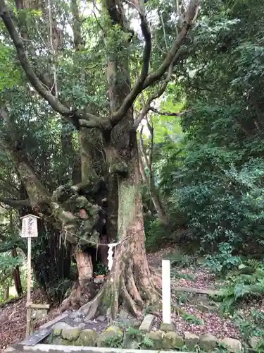 石清水八幡宮の自然