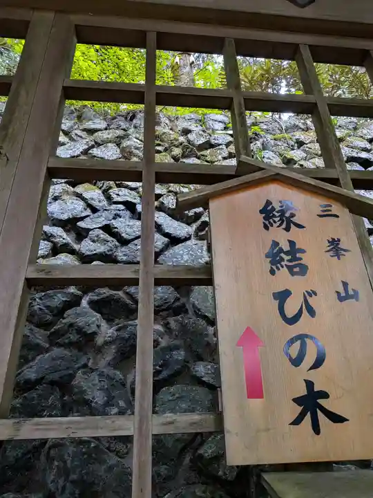 三峯神社(埼玉県)