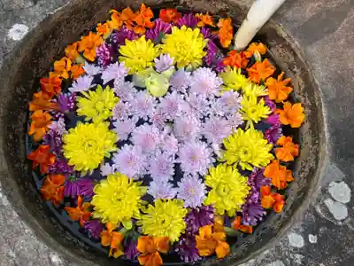 真言宗　善通寺派　薬王寺(香川県)
