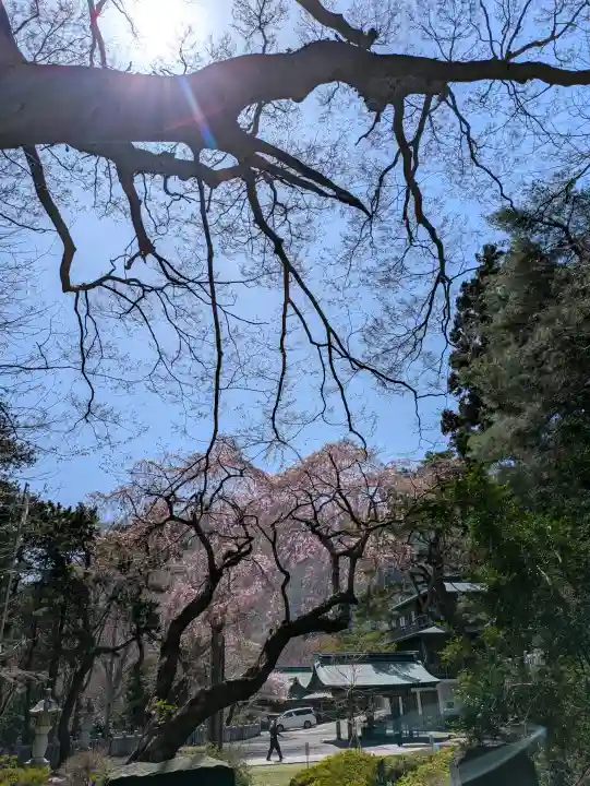 函館八幡宮の{uncategorized: "未分類", other: "その他", undefined: "問題あり", building: "その他建物", grave: "お墓", sacred_gate: "鳥居", guardian: "狛犬", statue: "像", buddha: "仏像", history: "歴史", nature: "自然", garden: "庭園", animal: "動物", pagoda: "塔", temizu: "手水舎", mountain_gate: "山門・神門", sanctuary: "本殿・本堂", subordinate: "末社・摂社", art: "芸術", scenery: "景色", jizo: "地蔵", ema: "絵馬", goshuin: "御朱印", omikuji: "おみくじ", items: "授与品その他", amulet: "お守り", goshuincho: "御朱印帳", eats: "食事", festival: "お祭り", votive_dance: "神楽", shichigosan: "七五三参", wedding: "結婚式", experience: "体験その他", initially: "初詣", around: "周辺", anti_infection: "感染症対策"}