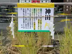 亀戸浅間神社の庭園