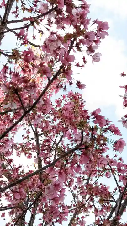 本昌寺(京都府)