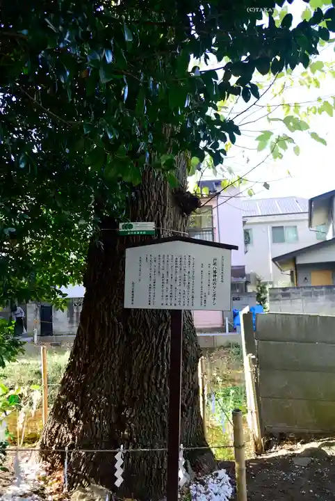 戸越八幡神社のその他建物