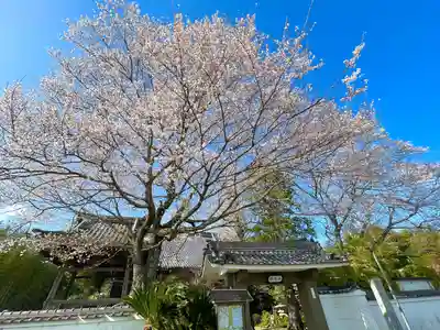 善性寺(三重県)