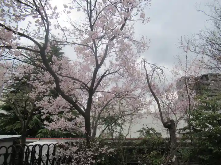 花園神社の自然