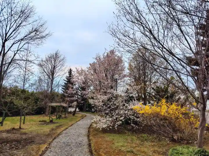 美瑛神社の庭園