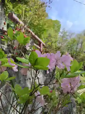 厚別神社(北海道)