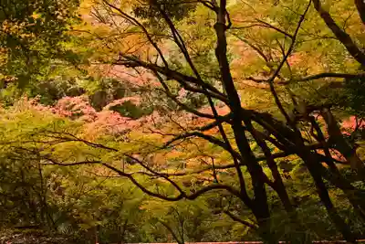 星谷寺(徳島県)
