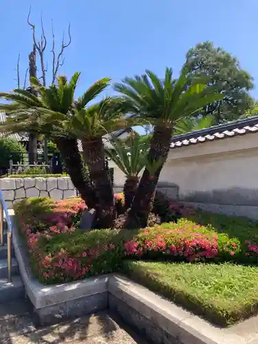 円乗院(東京都)