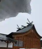 總社 和田八幡宮の本殿・本堂