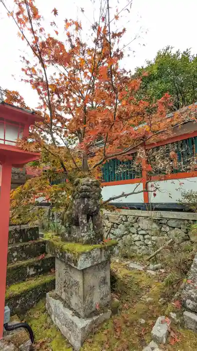 鍬山神社(京都府)